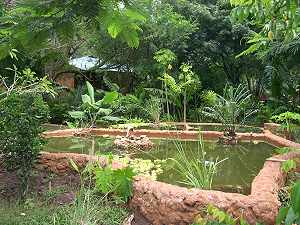 Teichanlage im Boko Boko